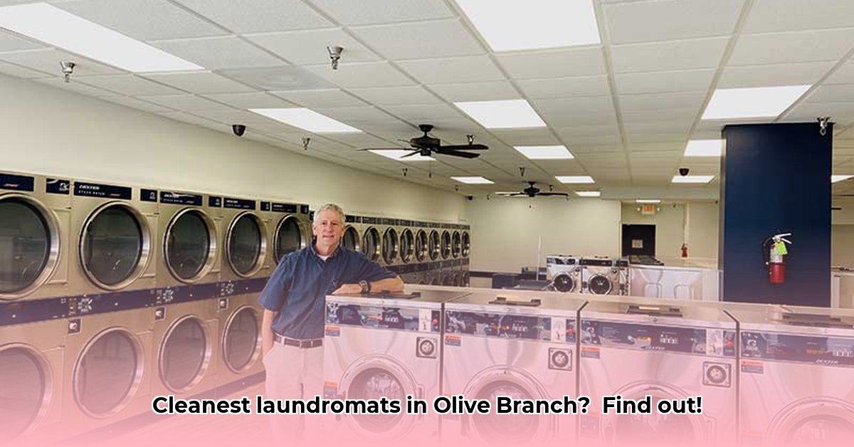 coin-laundry-olive-branch-ms
